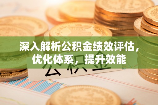 隆阳深入解析公积金绩效评估，优化体系，提升效能