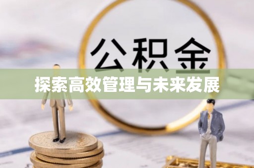 隆阳探索高效管理与未来发展