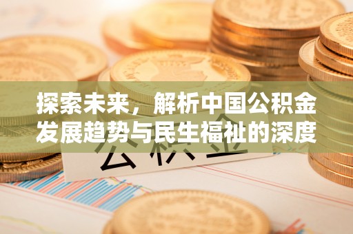 隆阳探索未来，解析中国公积金发展趋势与民生福祉的深度关联