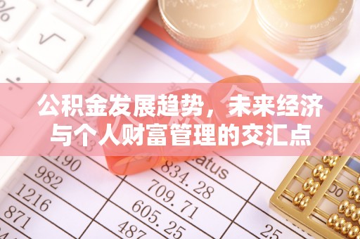 隆阳公积金发展趋势，未来经济与个人财富管理的交汇点