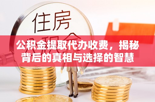 隆阳公积金提取代办收费，揭秘背后的真相与选择的智慧