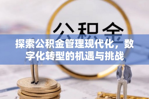 隆阳探索公积金管理现代化，数字化转型的机遇与挑战