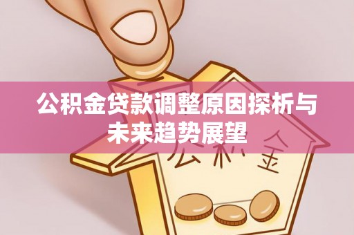 隆阳公积金贷款调整原因探析与未来趋势展望
