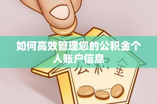 隆阳如何高效管理您的公积金个人账户信息