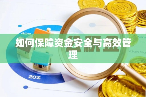 隆阳如何保障资金安全与高效管理