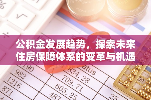 隆阳公积金发展趋势，探索未来住房保障体系的变革与机遇