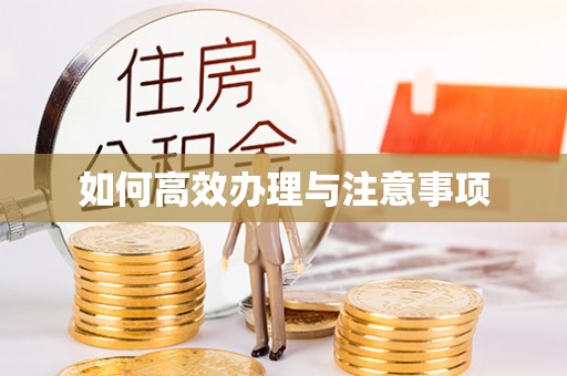 隆阳如何高效办理与注意事项