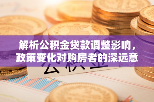隆阳解析公积金贷款调整影响，政策变化对购房者的深远意义