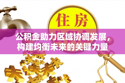 隆阳公积金助力区域协调发展，构建均衡未来的关键力量