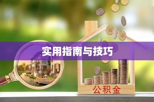 隆阳实用指南与技巧