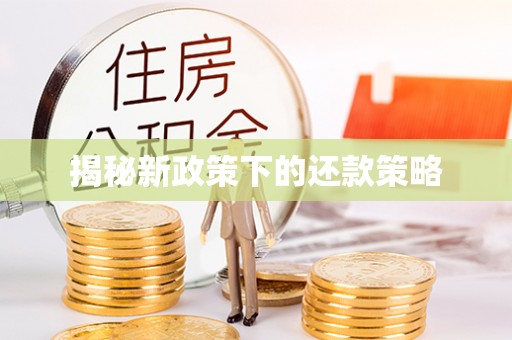 隆阳揭秘新政策下的还款策略