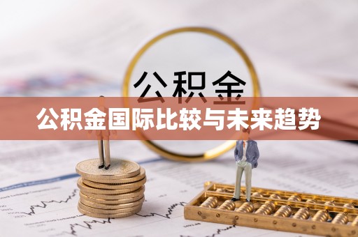 隆阳公积金国际比较与未来趋势