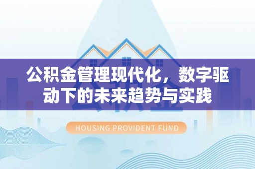 隆阳公积金管理现代化，数字驱动下的未来趋势与实践