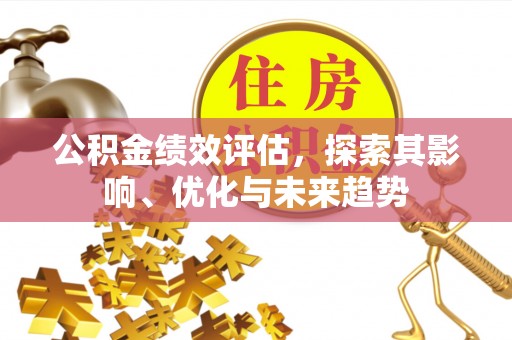 隆阳公积金绩效评估，探索其影响、优化与未来趋势