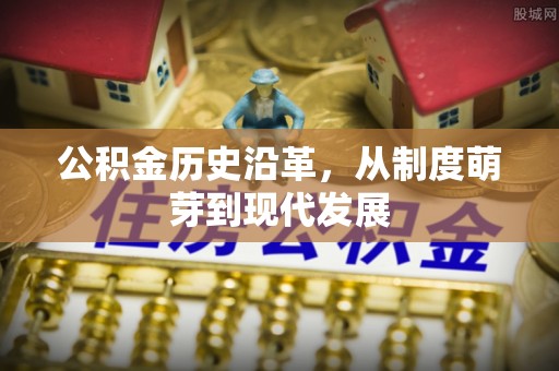 隆阳公积金历史沿革，从制度萌芽到现代发展