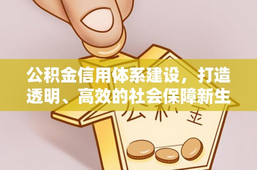 隆阳公积金信用体系建设，打造透明、高效的社会保障新生态