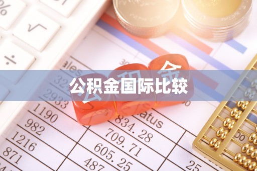隆阳公积金国际比较