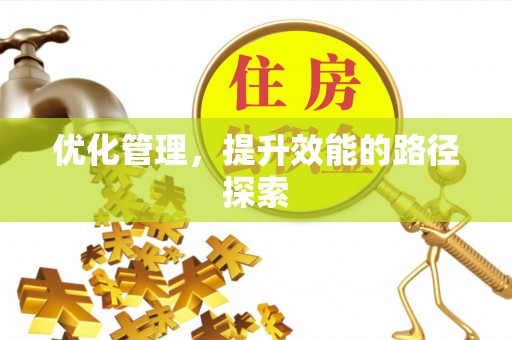 隆阳优化管理，提升效能的路径探索