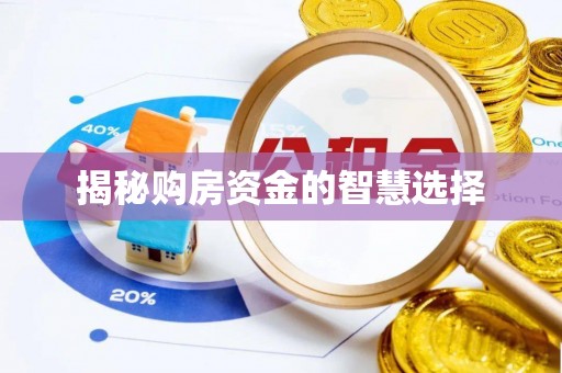 隆阳揭秘购房资金的智慧选择