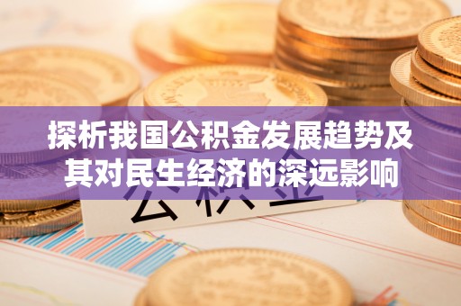 隆阳探析我国公积金发展趋势及其对民生经济的深远影响