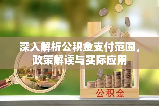 隆阳深入解析公积金支付范围，政策解读与实际应用