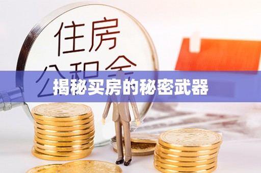 隆阳揭秘买房的秘密武器
