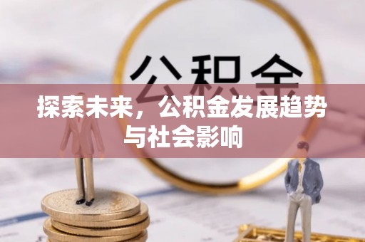 隆阳探索未来，公积金发展趋势与社会影响