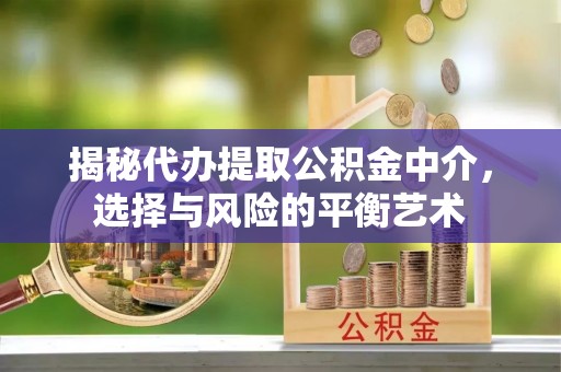 隆阳揭秘代办提取公积金中介，选择与风险的平衡艺术