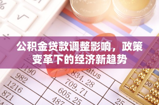 隆阳公积金贷款调整影响，政策变革下的经济新趋势