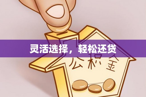 隆阳灵活选择，轻松还贷