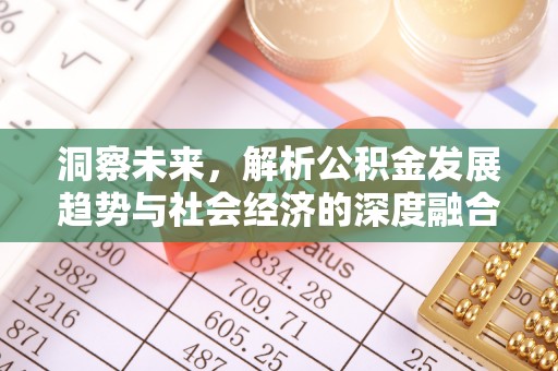 隆阳洞察未来，解析公积金发展趋势与社会经济的深度融合