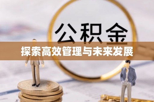 隆阳探索高效管理与未来发展