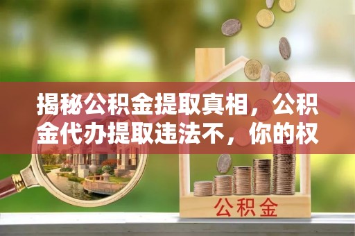 隆阳揭秘公积金提取真相，公积金代办提取违法不，你的权益如何保障？
