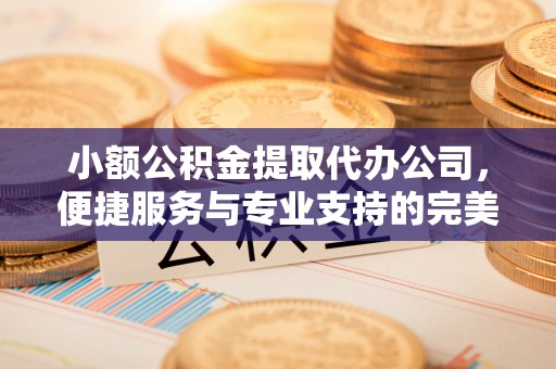 隆阳小额公积金提取代办公司，便捷服务与专业支持的完美结合