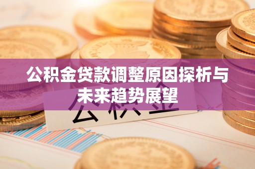 隆阳公积金贷款调整原因探析与未来趋势展望