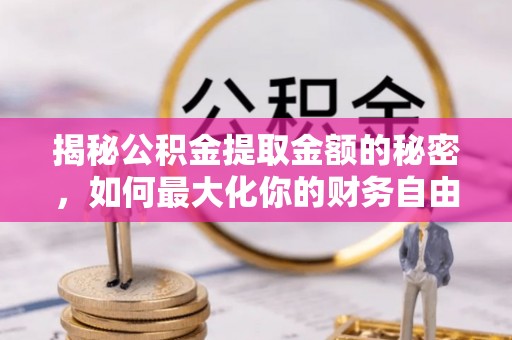 隆阳揭秘公积金提取金额的秘密，如何最大化你的财务自由