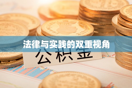 隆阳法律与实践的双重视角
