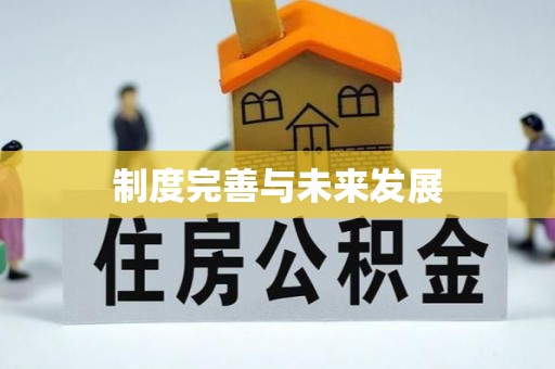 隆阳制度完善与未来发展