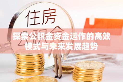 隆阳探索公积金资金运作的高效模式与未来发展趋势