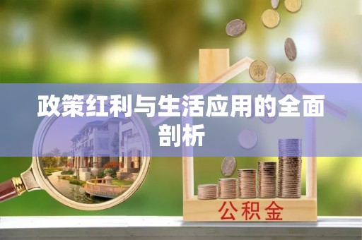 隆阳政策红利与生活应用的全面剖析