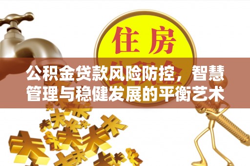 隆阳公积金贷款风险防控，智慧管理与稳健发展的平衡艺术
