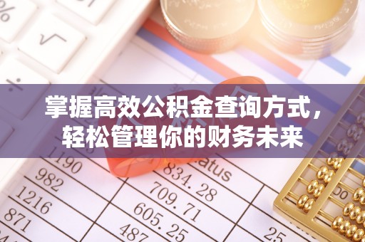 隆阳掌握高效公积金查询方式，轻松管理你的财务未来