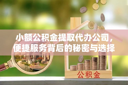 隆阳小额公积金提取代办公司，便捷服务背后的秘密与选择指南