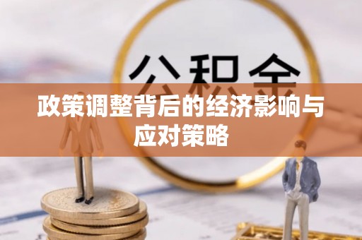 隆阳政策调整背后的经济影响与应对策略