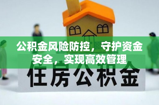 隆阳公积金风险防控，守护资金安全，实现高效管理