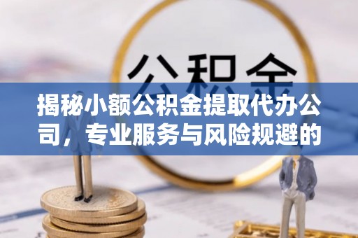 隆阳揭秘小额公积金提取代办公司，专业服务与风险规避的平衡艺术
