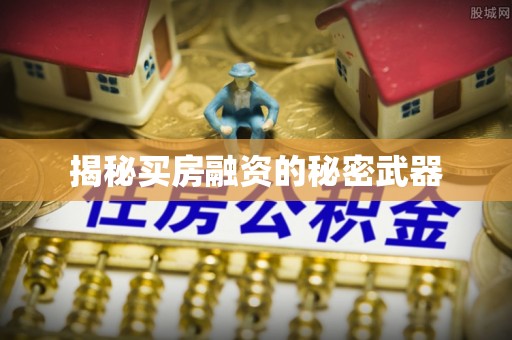 隆阳揭秘买房融资的秘密武器