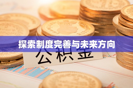 隆阳探索制度完善与未来方向