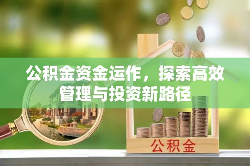 隆阳公积金资金运作，探索高效管理与投资新路径