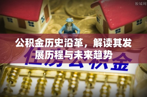 隆阳公积金历史沿革，解读其发展历程与未来趋势